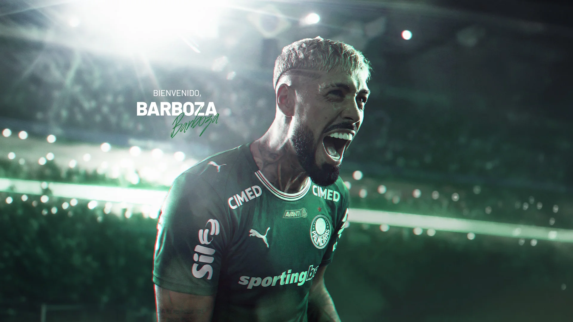 Palmeiras anuncia contratação de Barboza, do Botafogo